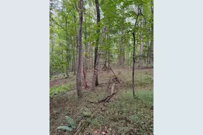 00 Locust Grove Road #67, Westfield, NC 27053 - Photo 16