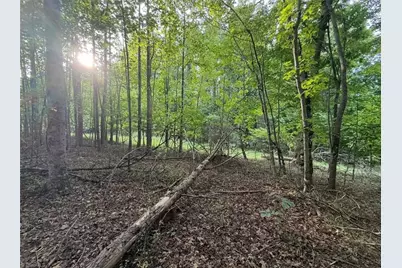 00 Locust Grove Road #67, Westfield, NC 27053 - Photo 12