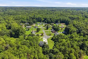 4931 Sebania Ct, Walnut Cove, NC 27052 - Photo 46