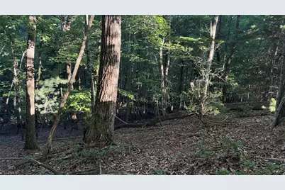 000 Carriage House Trail Lot #157, McGrady, NC 28649 - Photo 18