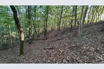 000 Carriage House Trail Lot #157, McGrady, NC 28649 - Photo 22
