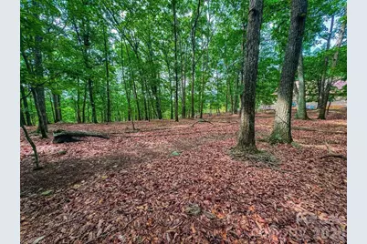 1616 Sierra Trace Road, Denton, NC 27239 - Photo 14