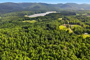 209 Bruno Ln, Boomer, NC 28606 - Photo 38