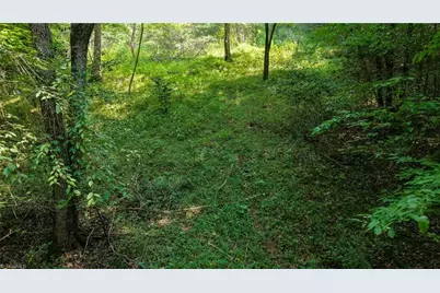 0 Rocky Point Road, Wilkesboro, NC 28697 - Photo 8