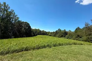 1207 Grassy Creek Rd, Pinnacle, NC 27043 - Photo 6