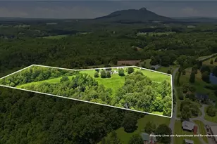 1207 Grassy Creek Rd, Pinnacle, NC 27043 - Photo 10