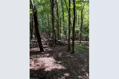 00 McCarther Road, Mount Airy, NC 27030 - Photo 14