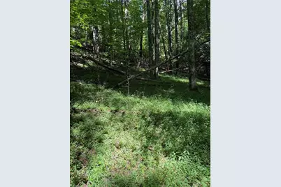 00 McCarther Road, Mount Airy, NC 27030 - Photo 16