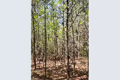 0 Tate Road, Reidsville, NC 27320 - Photo 2