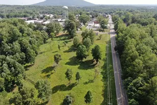 209 Second St, Pilot Mountain, NC 27041 - Photo 10