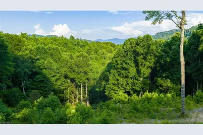 Tbd 3 Big Laurel Road, Creston, NC 28615 - Photo 12