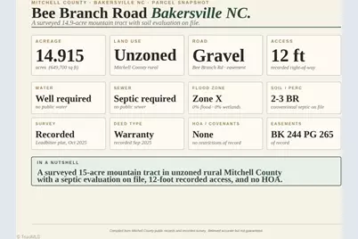 000-000 Bee Branch Road #14AC, Bakersville, NC 28705 - Photo 4