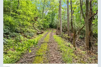 000-000 Bee Branch Road #14AC, Bakersville, NC 28705 - Photo 2