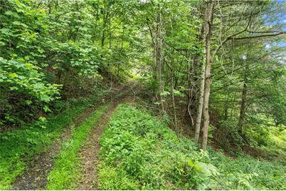 000-000 Bee Branch Road #14AC, Bakersville, NC 28705 - Photo 16