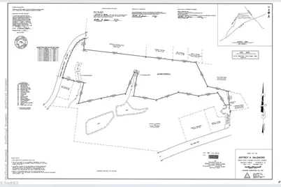 0 Massey Creek Road, Madison, NC 27025 - Photo 6