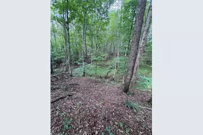 0 Johnson Road, King, NC 27021 - Photo 10