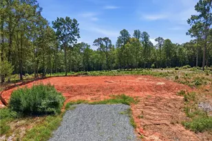 6407 Vedic Dr, Whitsett, NC 27377 - Photo 44