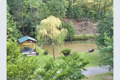 1647 Staghorn Road, Purlear, NC 28665 - Photo 30