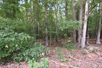 00 Garner Road, Snow Camp, NC 27349 - Photo 2