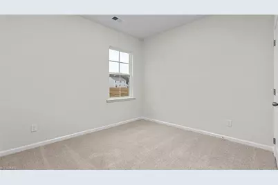 253 Pepper Tree Road, Stokesdale, NC 27357 - Photo 4