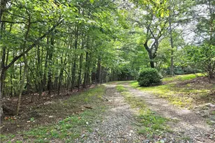 179 Caseys Crossing Trail, Lowgap, NC 27024 - Photo 10