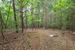 179 Caseys Crossing Trail, Lowgap, NC 27024 - Photo 14