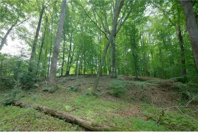 0 Labrador Lane, Winston-Salem, NC 27106 - Photo 22