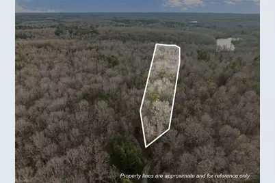 10.75 Acres Neals Store Road, Roxboro, NC 27574 - Photo 4