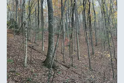 00 Balls Mill Road, North Wilkesboro, NC 28659 - Photo 18