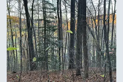 00 Balls Mill Road, North Wilkesboro, NC 28659 - Photo 10