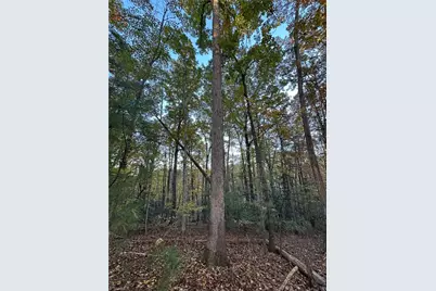 00 Balls Mill Road, North Wilkesboro, NC 28659 - Photo 8
