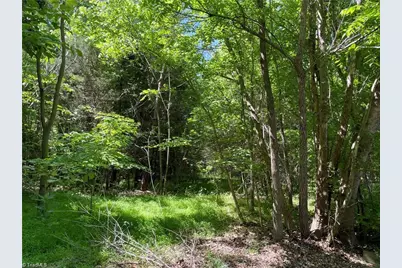 00 Thompson Road, Graham, NC 27253 - Photo 4