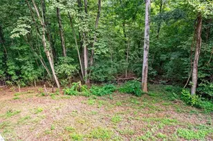 4424 Cooper Cove Rd, Winston-Salem, NC 27127 - Photo 44