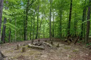 3608 Summit Lakes Dr, Browns Summit, NC 27214 - Photo 38