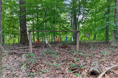 2520 Poplar Hill Court, Snow Camp, NC 27349 - Photo 26