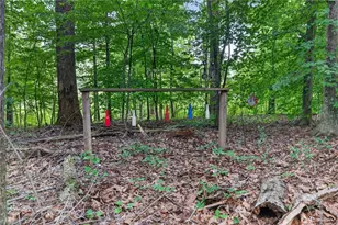 2520 Poplar Hl Ct, Snow Camp, NC 27349 - Photo 26