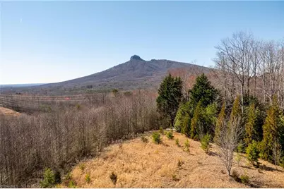 222 Hummingbird Lane, Pilot Mountain, NC 27041 - Photo 16