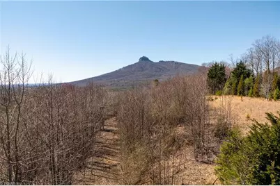 222 Hummingbird Lane, Pilot Mountain, NC 27041 - Photo 1