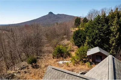 222 Hummingbird Lane, Pilot Mountain, NC 27041 - Photo 20