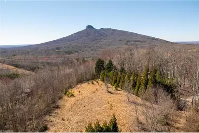 222 Hummingbird Lane, Pilot Mountain, NC 27041 - Photo 2