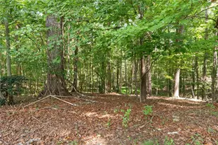 132 Blue Ridge Rd, State Road, NC 28676 - Photo 28