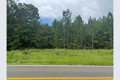 0 N Nc Highway 49, Mebane, NC 27302 - Photo 2