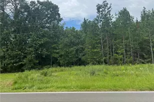 0 N Nc Hwy 49, Mebane, NC 27302 - Photo 1