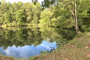 8546 Hudson James Rd, Summerfield, NC 27358 - Photo 46