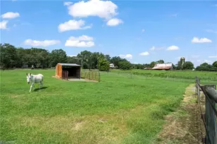 8378 Holman Mill Rd, Snow Camp, NC 27349 - Photo 42