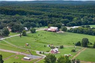 8378 Holman Mill Rd, Snow Camp, NC 27349 - Photo 6
