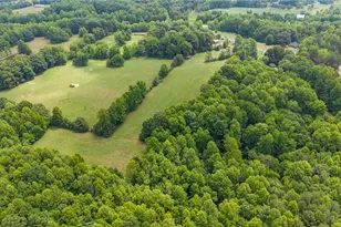 7010 Hemphill Rd, Julian, NC 27283 - Photo 34