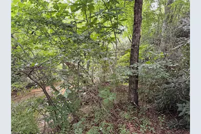 0 Bryant Road, Mount Airy, NC 27030 - Photo 4