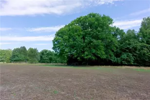 0 Tesh Rd, Germanton, NC 27019 - Photo 1