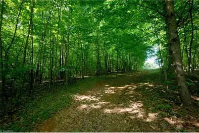 0 Tesh Road, Germanton, NC 27019 - Photo 10